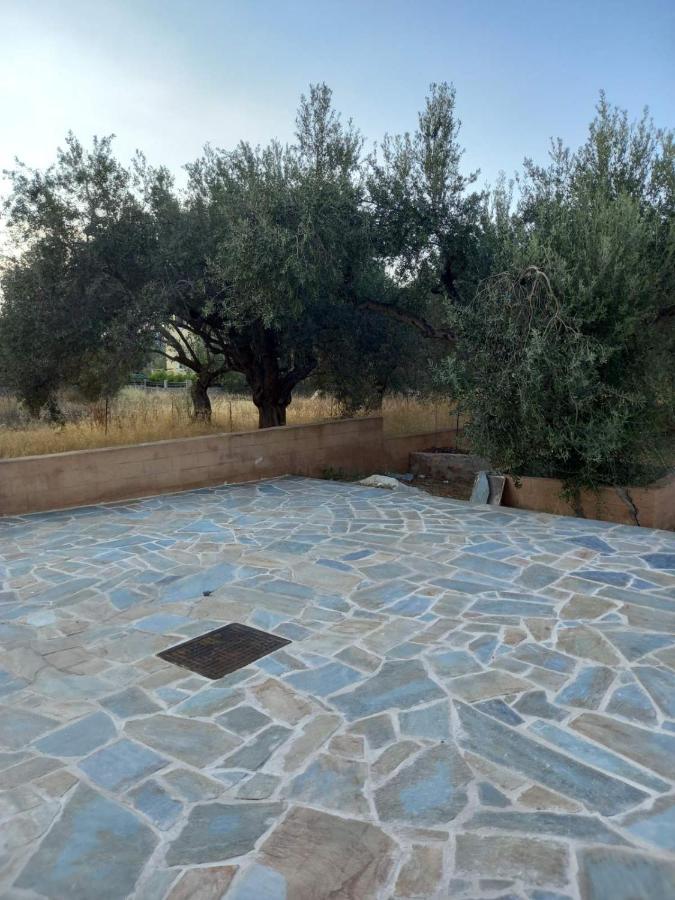 Flisvos Apartments Megalochori  Εξωτερικό φωτογραφία